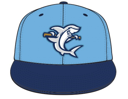 Picture of Player Hat - Two Tone